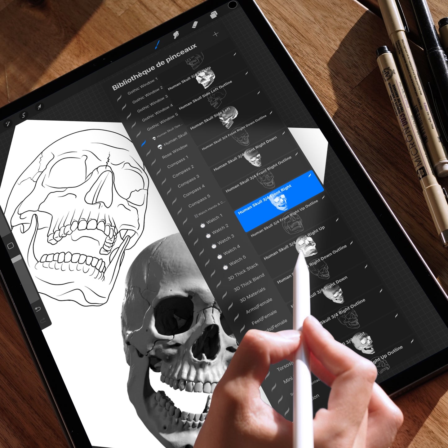 Human Skull • Procreate stamp brushes