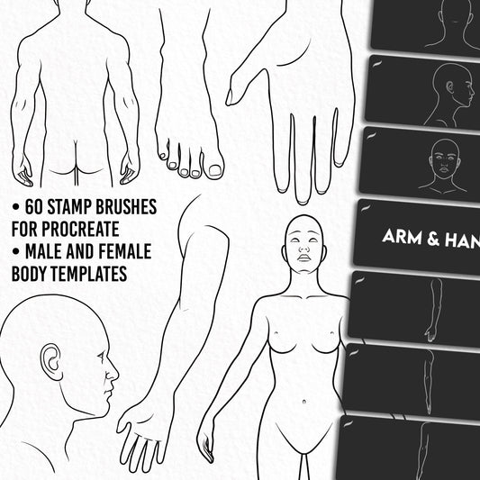 Tattoo body templates set – 60 Procreate stamp brushes for male and female, includes PDF guide for tattoo sketching