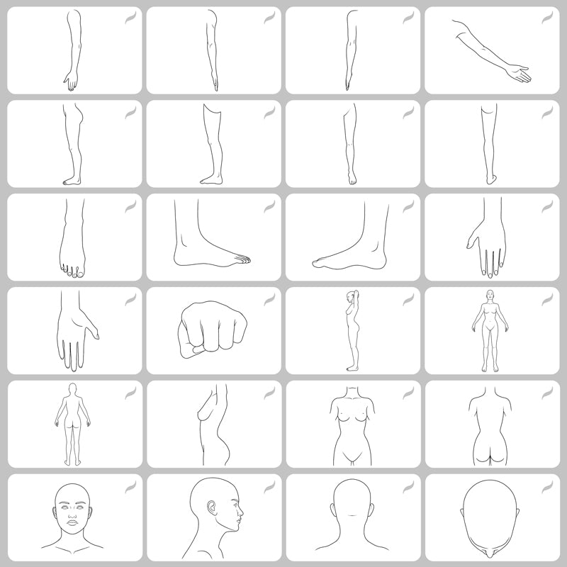 Body Templates • Procreate stamp brushes