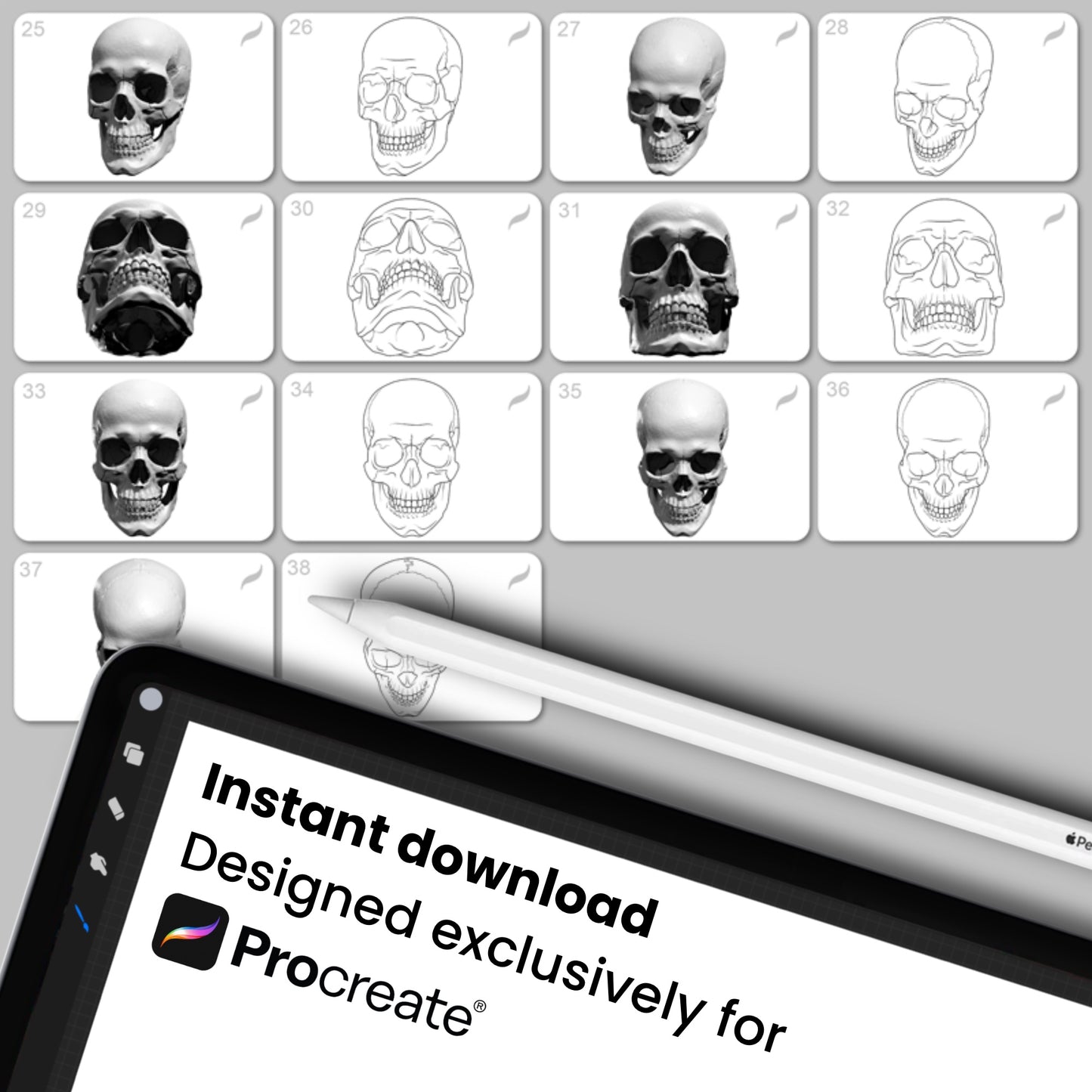 Human Skull • Procreate stamp brushes