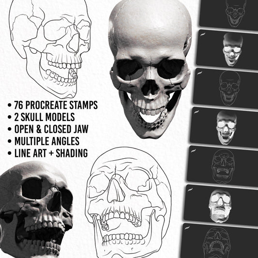 Procreate Human Skull Brushes Pack – 76 stamp brushes for tattoo artists, line art and shading skull references, open and closed jaw models.