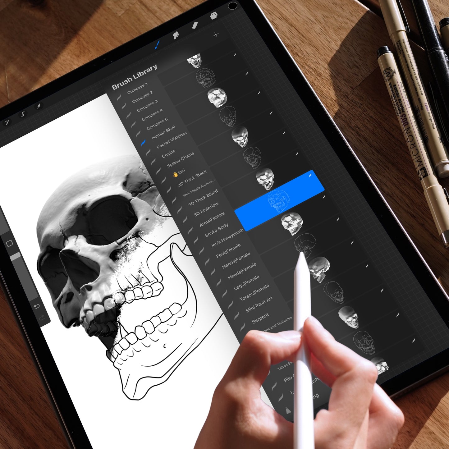 iPad screen showing Human Skull Procreate brush library – realistic and line art skull stamps for tattoo design and digital illustration.