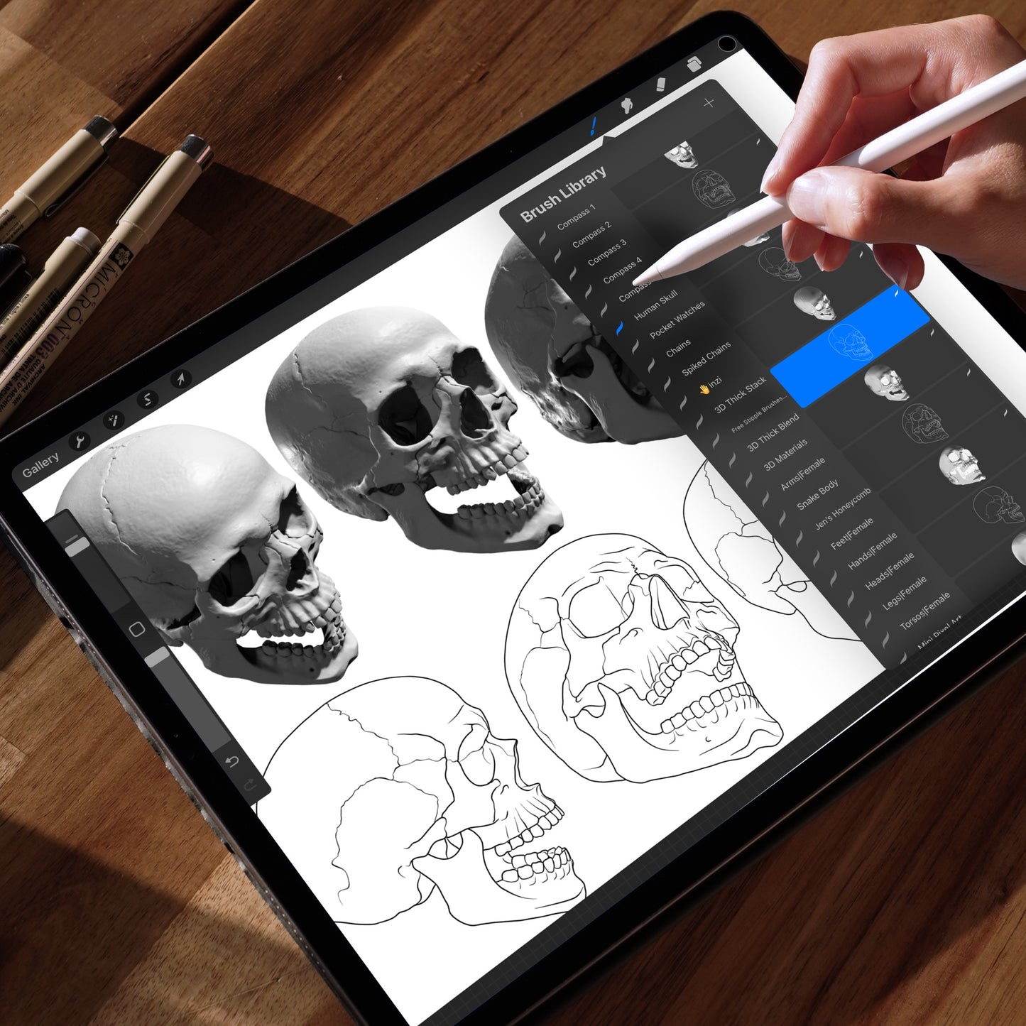 Human skull Procreate stamps pack – multiple skull angles, jaw open and closed, line art and shading options for tattoo flash.