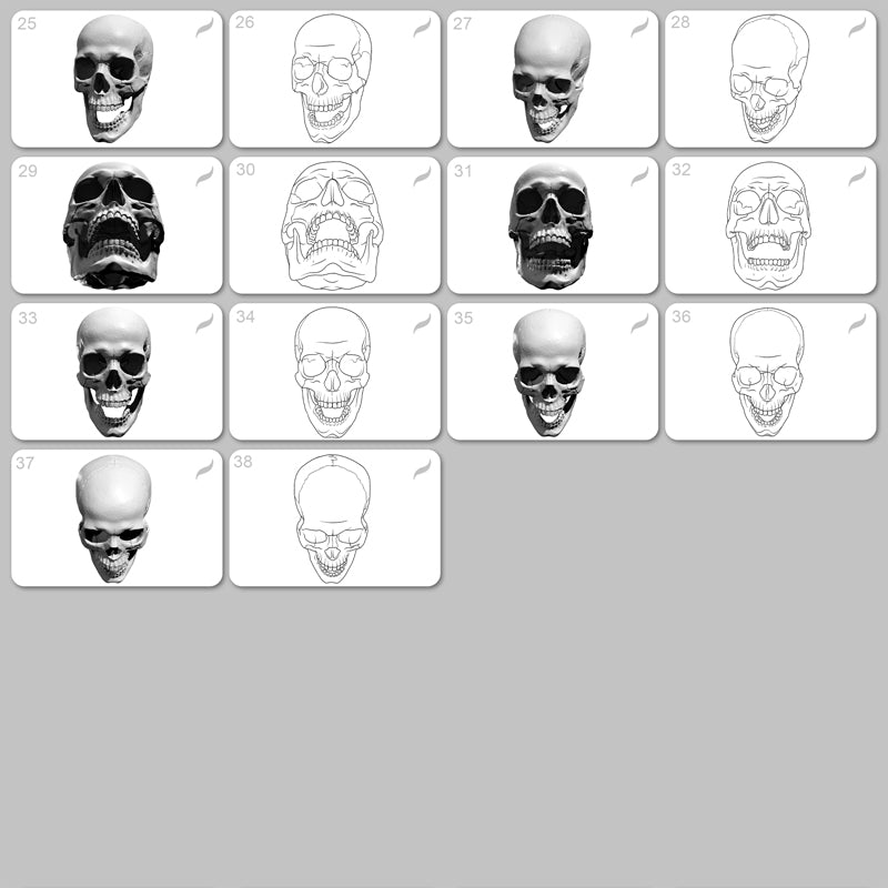Human Skull • Procreate stamp brushes