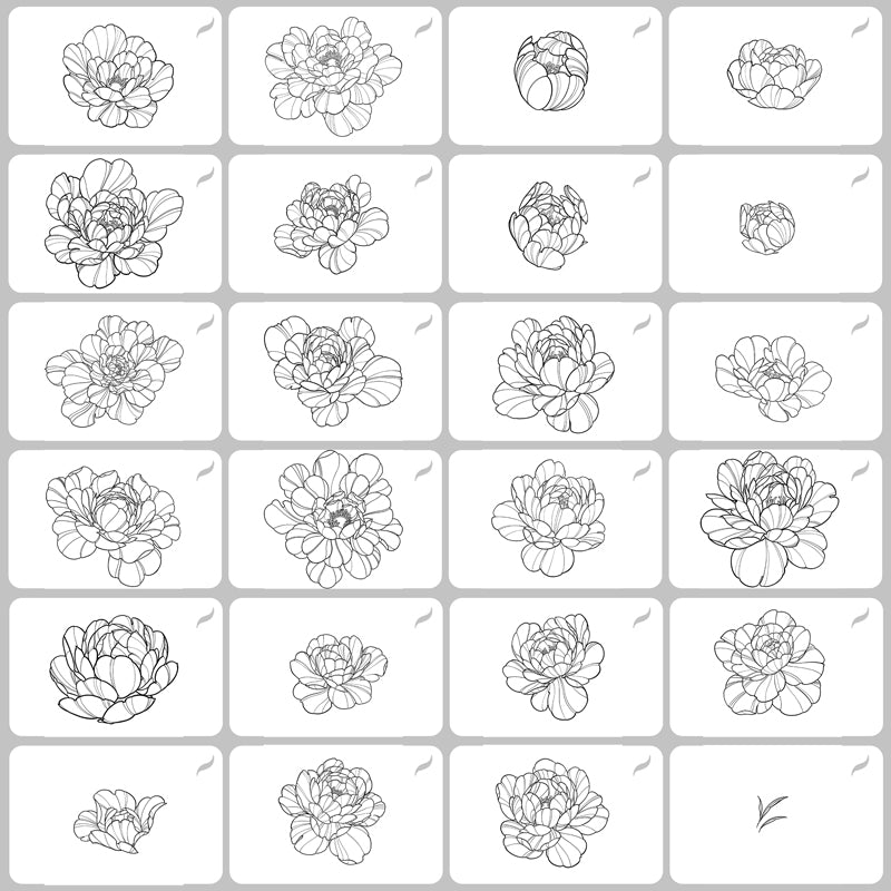 Top-down view of 25 fine line peony flower stamps for Procreate, displayed in a clean grid on white background, showcasing a variety of blossom shapes and petal structures