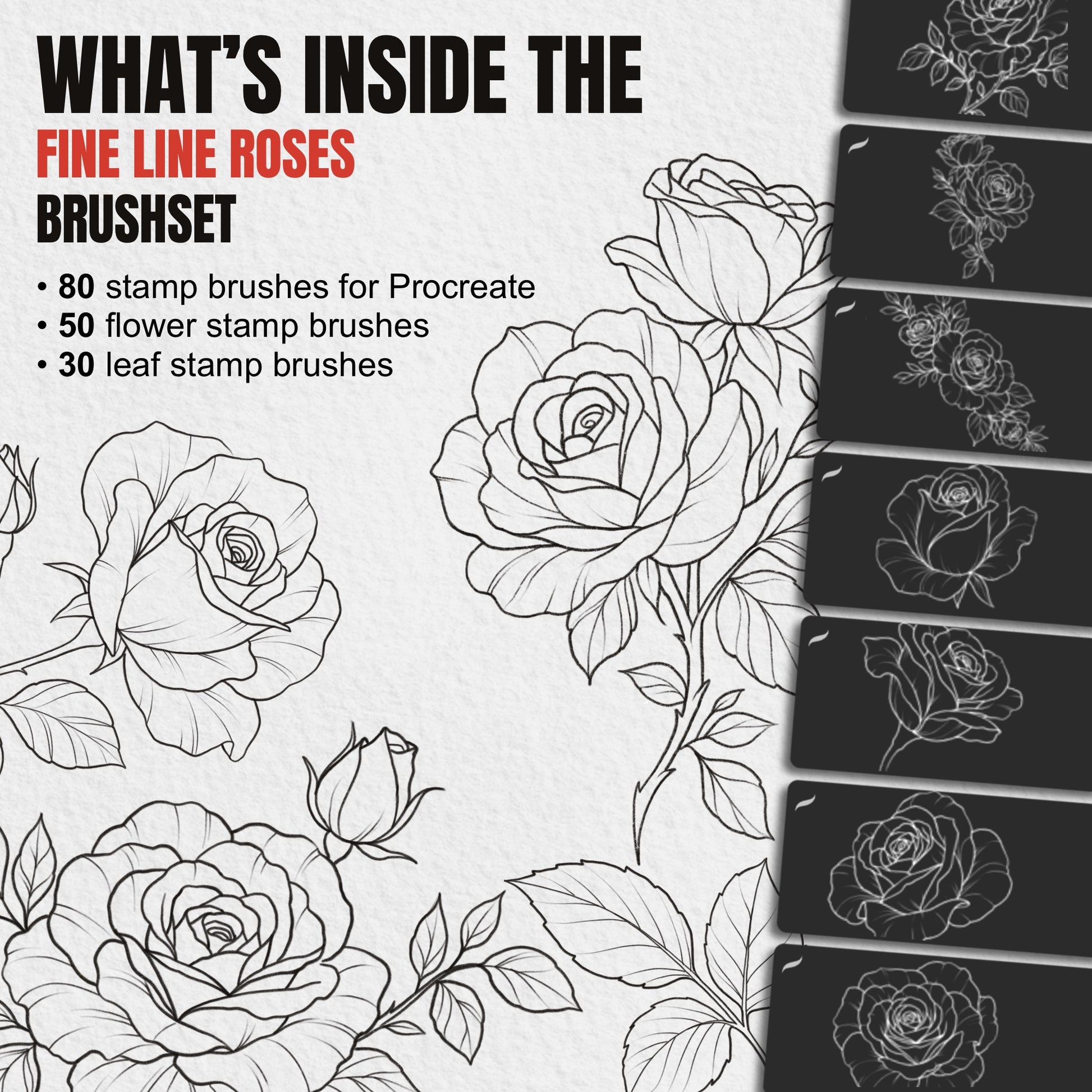 What's inside the Fine Line Roses brushset: 80 stamp brushes for Procreate - 50 flower stamps and 30 leaf stamps