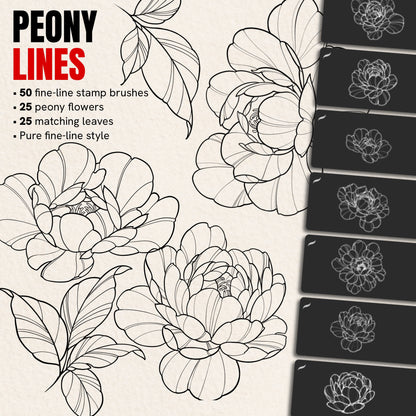 Peony Lines pack — 50 fine-line Procreate stamp brushes with 25 peony flowers and 25 leaves