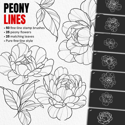 Peony Lines pack with 50 fine line Procreate brushes featuring 25 peony flowers and matching leaves