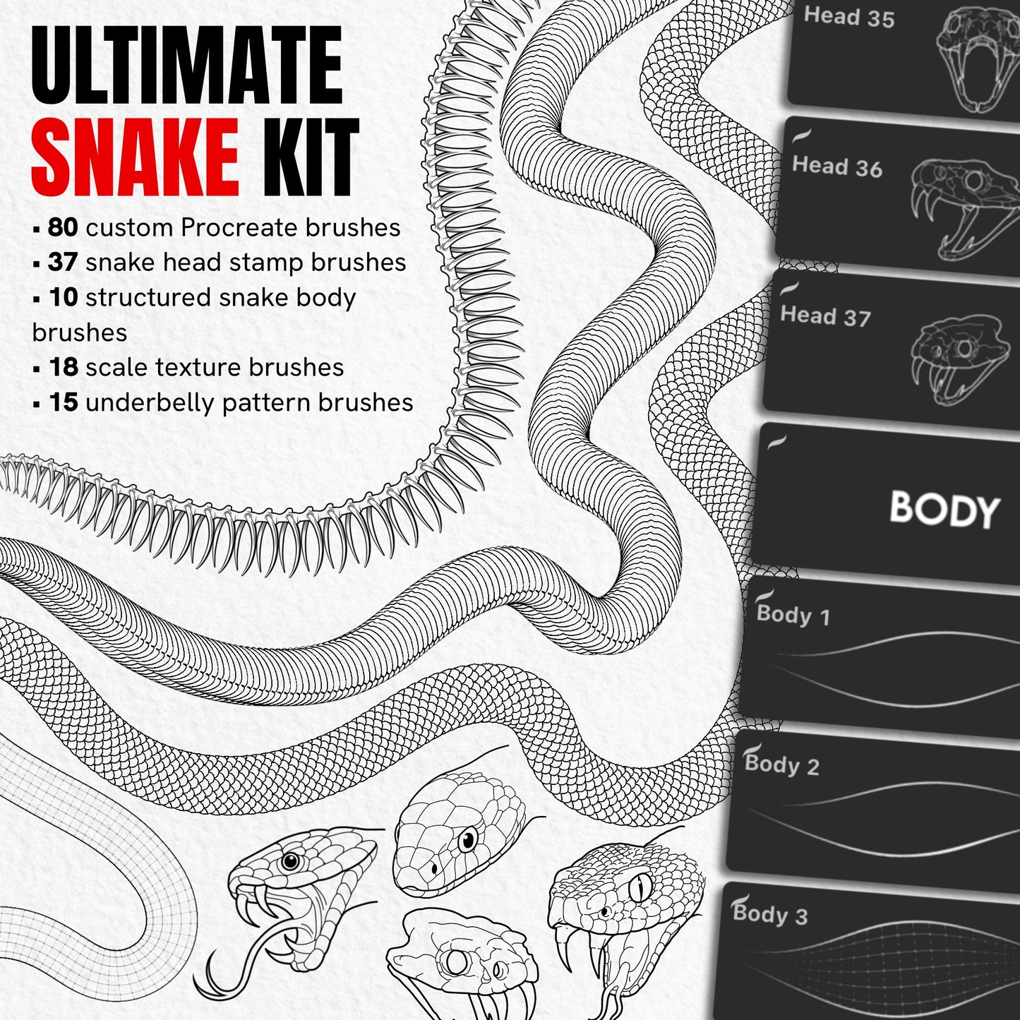 Ultimate Snake Kit with 80 Procreate brushes featuring snake heads, bodies, scales and underbelly patterns