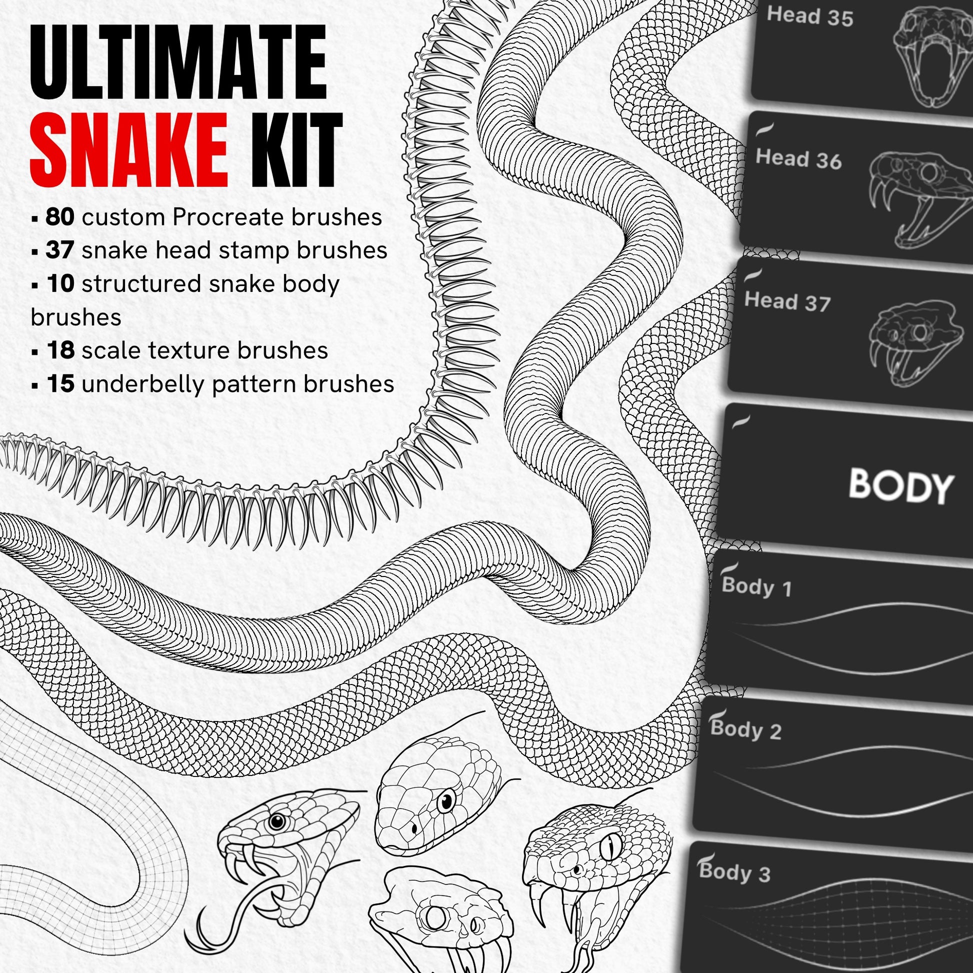 Ultimate Snake Kit with 80 Procreate brushes featuring snake heads, bodies, scales and underbelly patterns