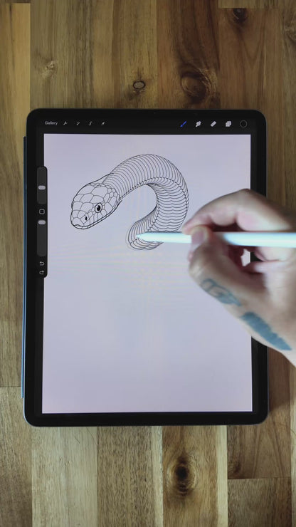 Video preview of the Ultimate Procreate Brush Bundle for tattoo artists and illustrators