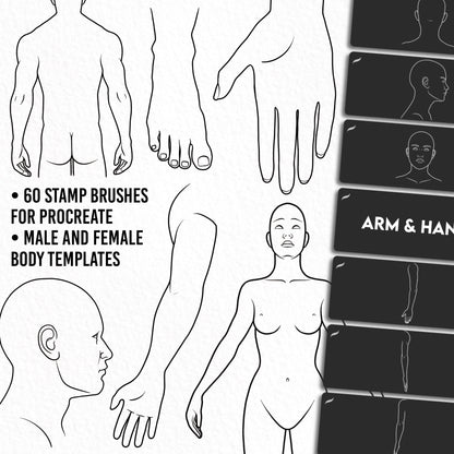 Tattoo body templates set – 60 Procreate stamp brushes for male and female, includes PDF guide for tattoo sketching
