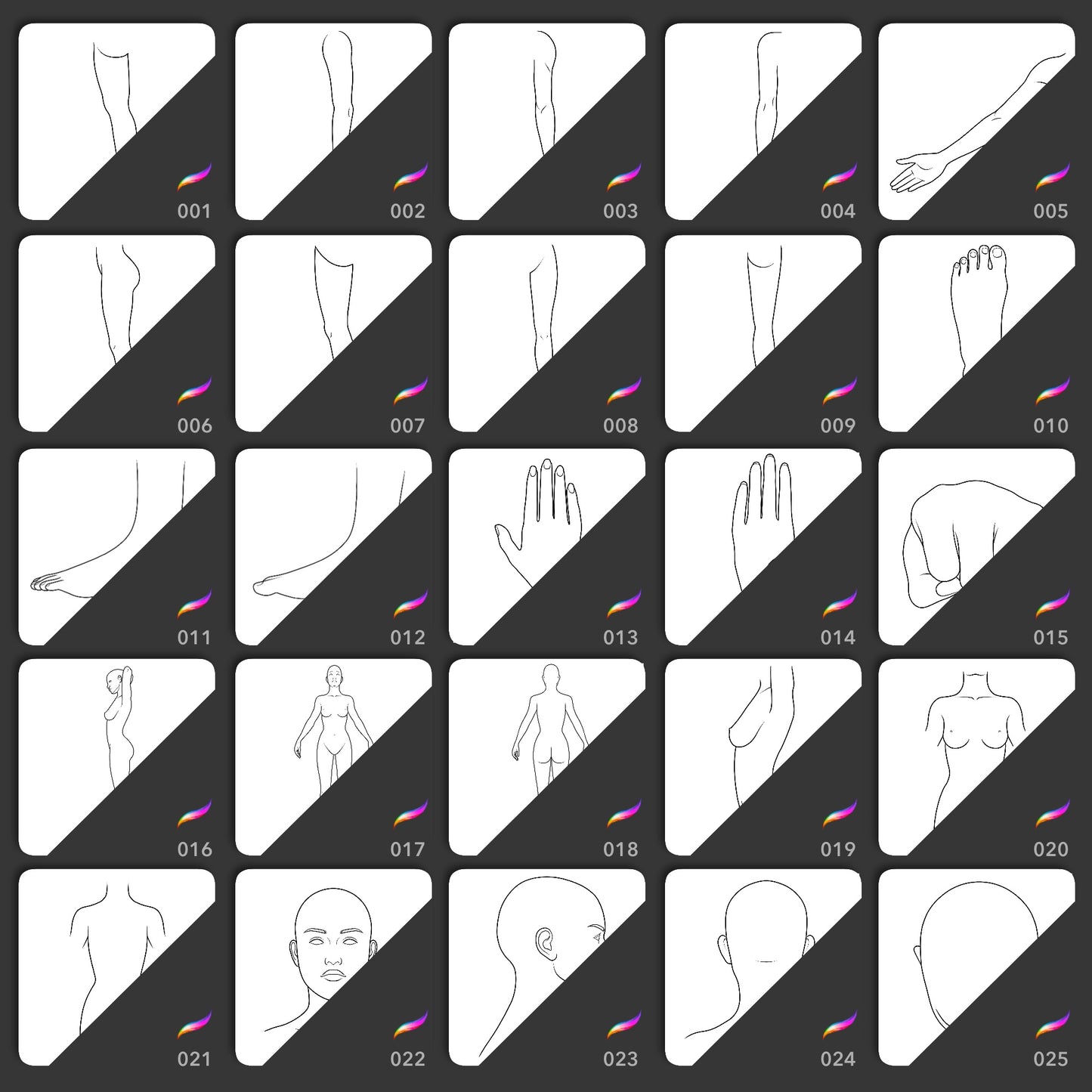 Body template Procreate brushes with arms legs hands feet torsos and head angles