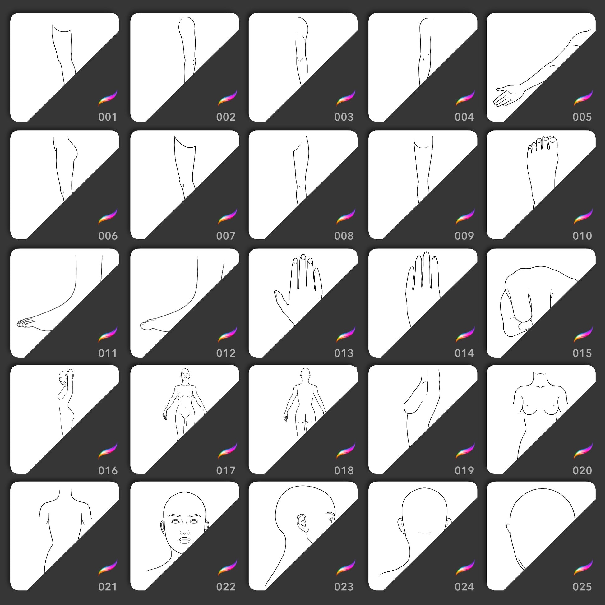 Body template Procreate brushes with arms legs hands feet torsos and head angles