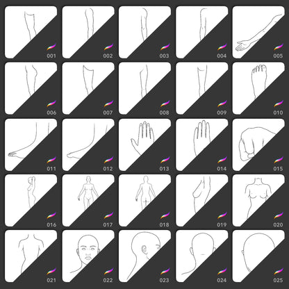 Body template Procreate brushes with arms legs hands feet torsos and head angles
