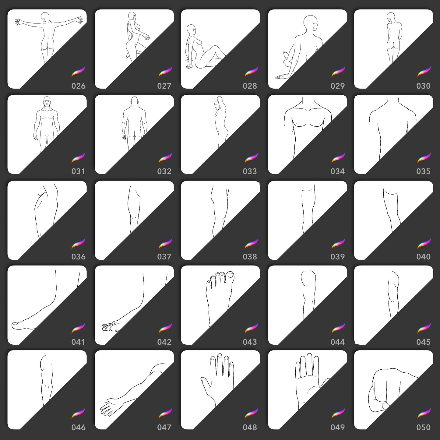 Procreate body template stamp brushes for poses torsos legs feet hands and arms