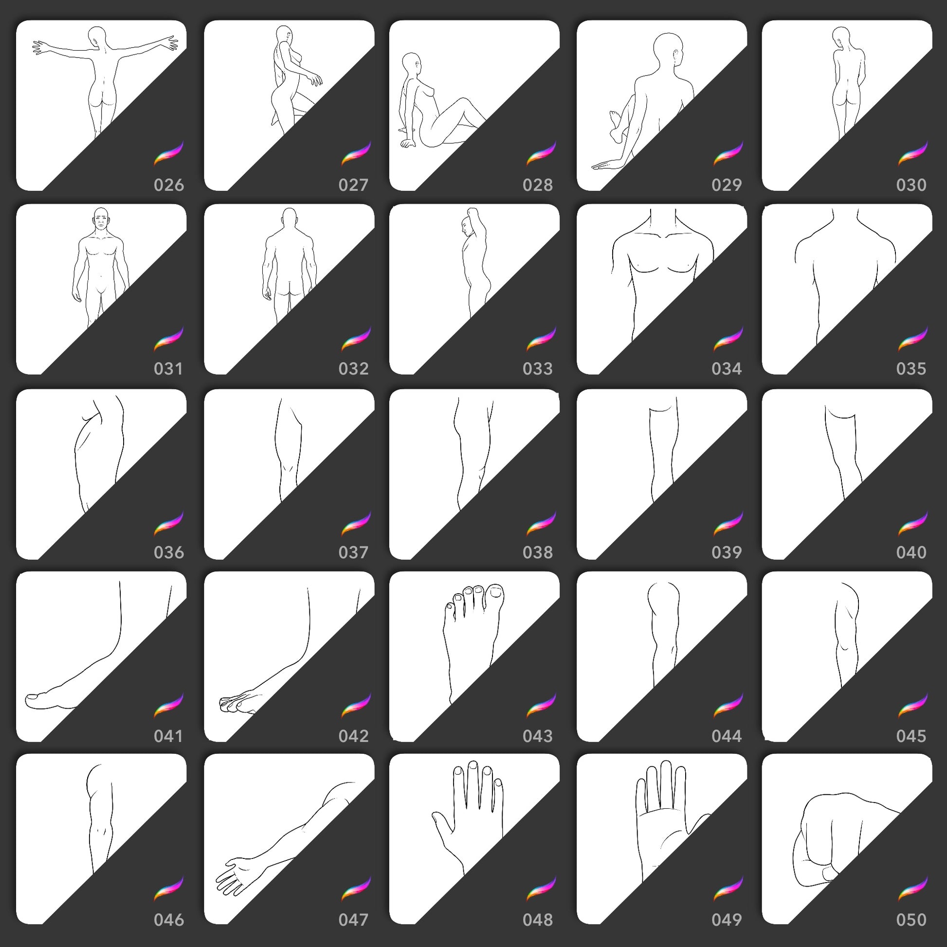 Procreate body template stamp brushes for poses torsos legs feet hands and arms