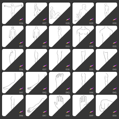 Procreate body template stamp brushes for poses torsos legs feet hands and arms
