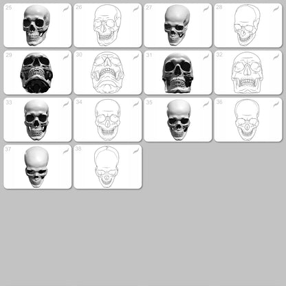 Human Skull • Procreate stamp brushes
