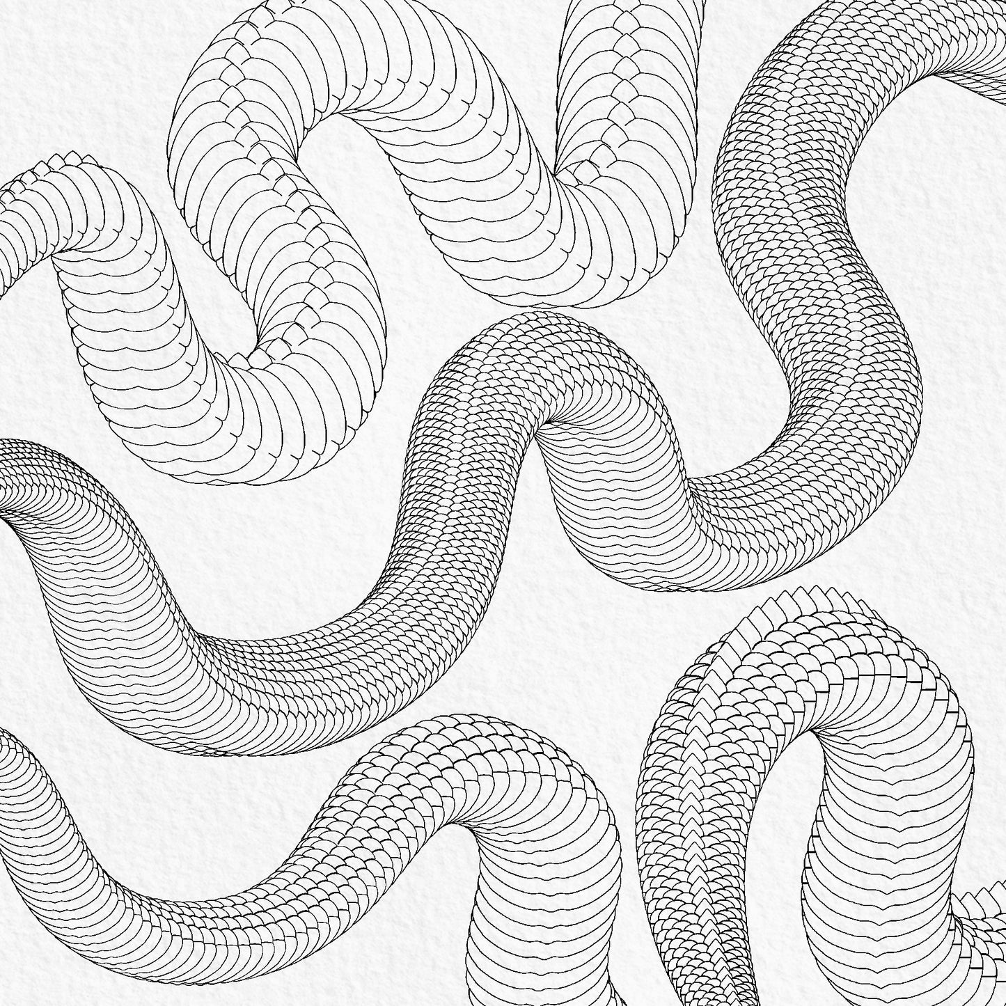 Curved Japanese dragon body Procreate brushes with scales and underbelly lines