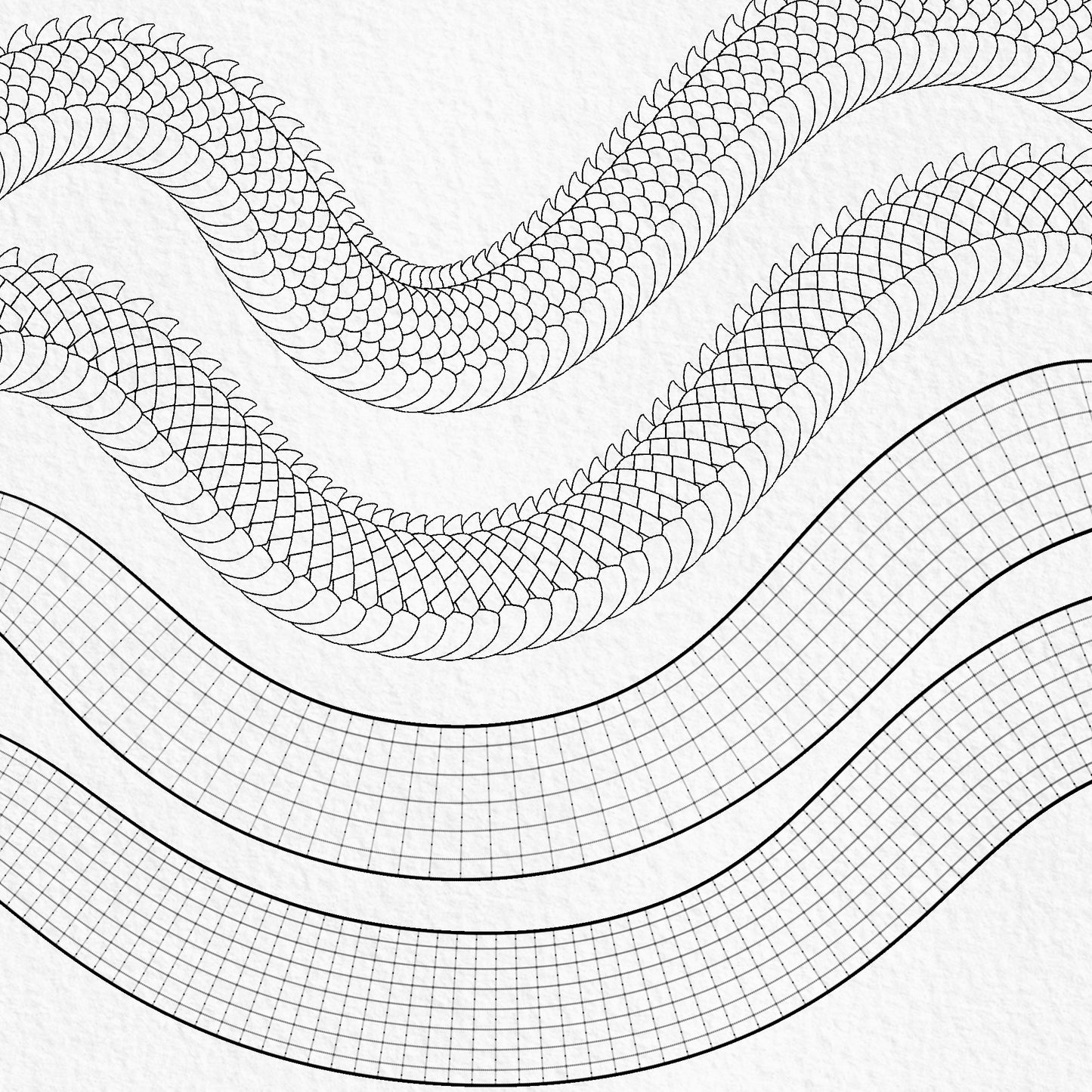 Japanese dragon body segment Procreate brushes with scales and construction guides