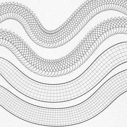 Japanese dragon body segment Procreate brushes with scales and construction guides