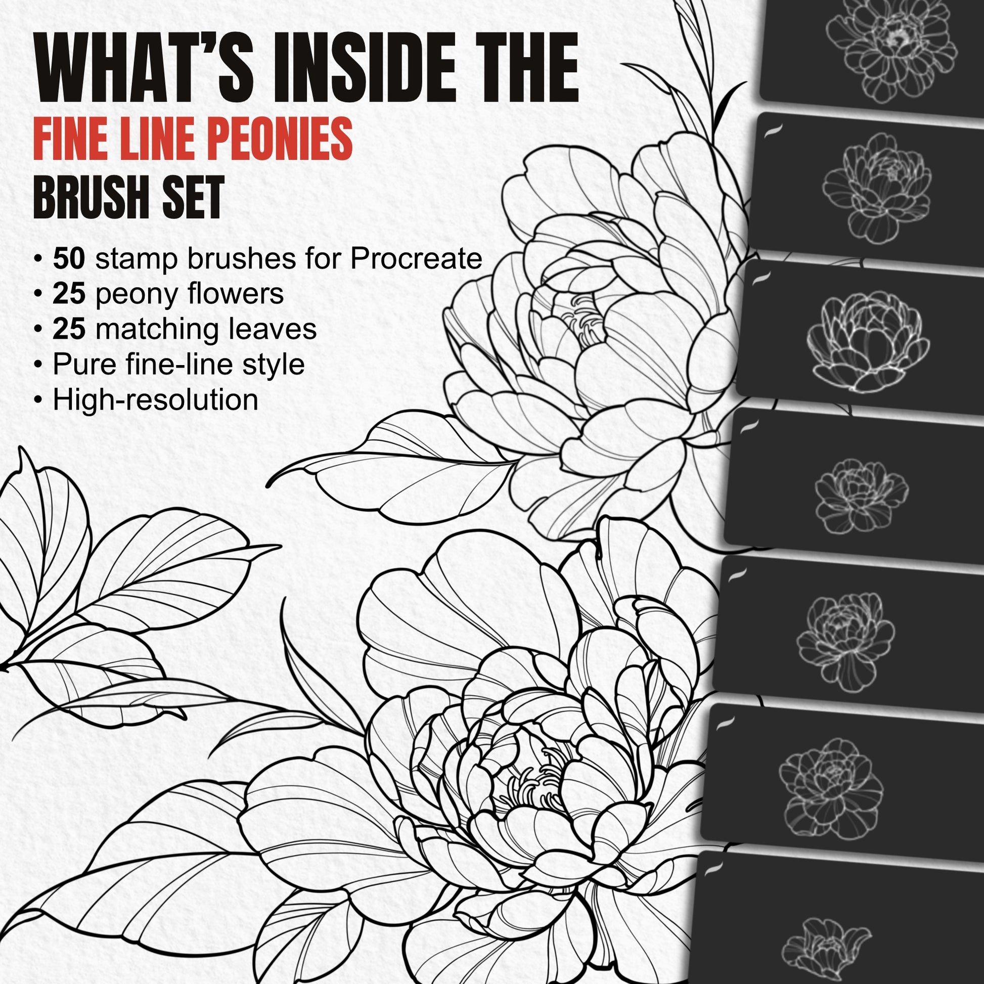 Overview of 50 Fine Line Peonies Procreate stamp brushes with 25 flowers and 25 leaves