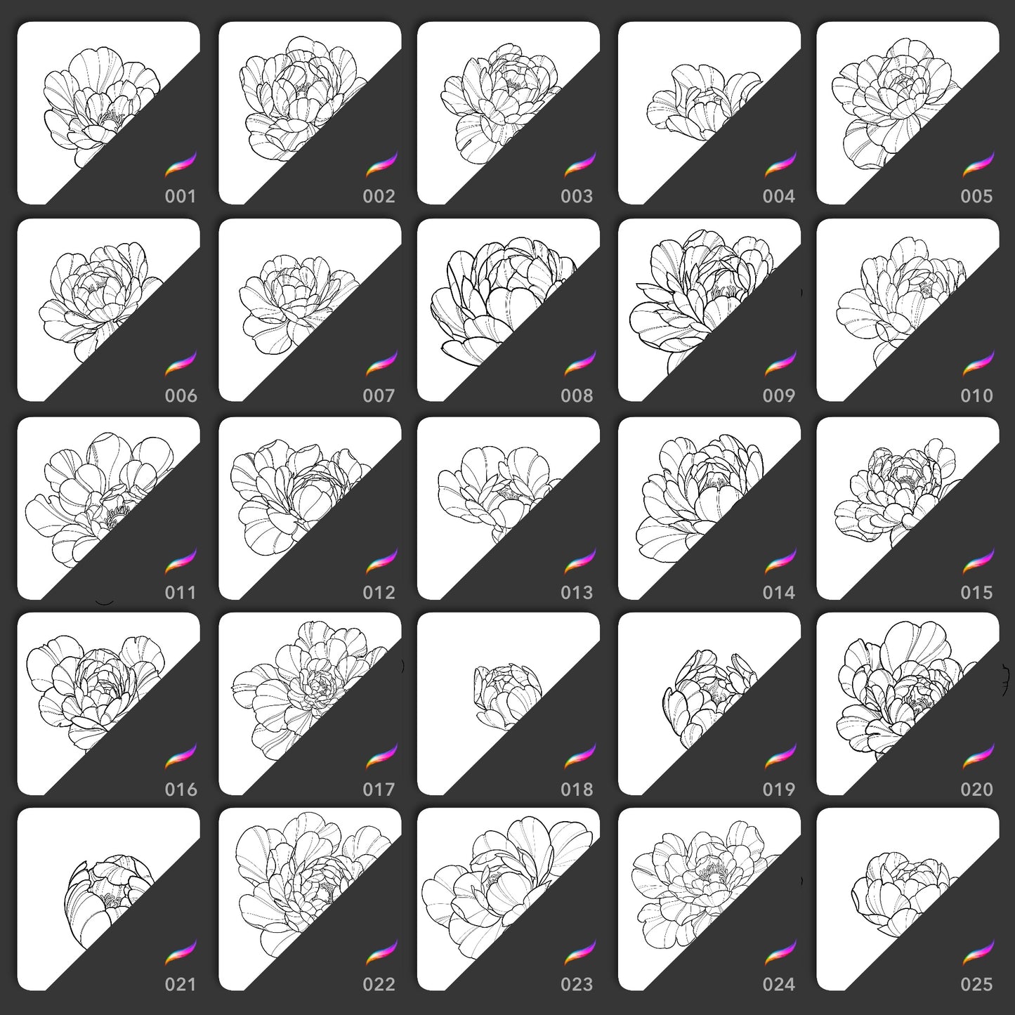 25 fine line peony flower Procreate stamp brushes for tattoo stencils