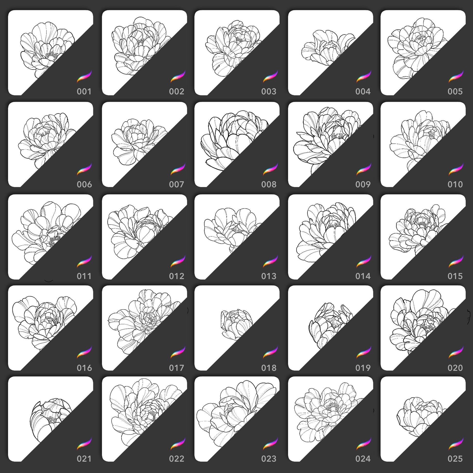 25 fine line peony flower Procreate stamp brushes for tattoo stencils