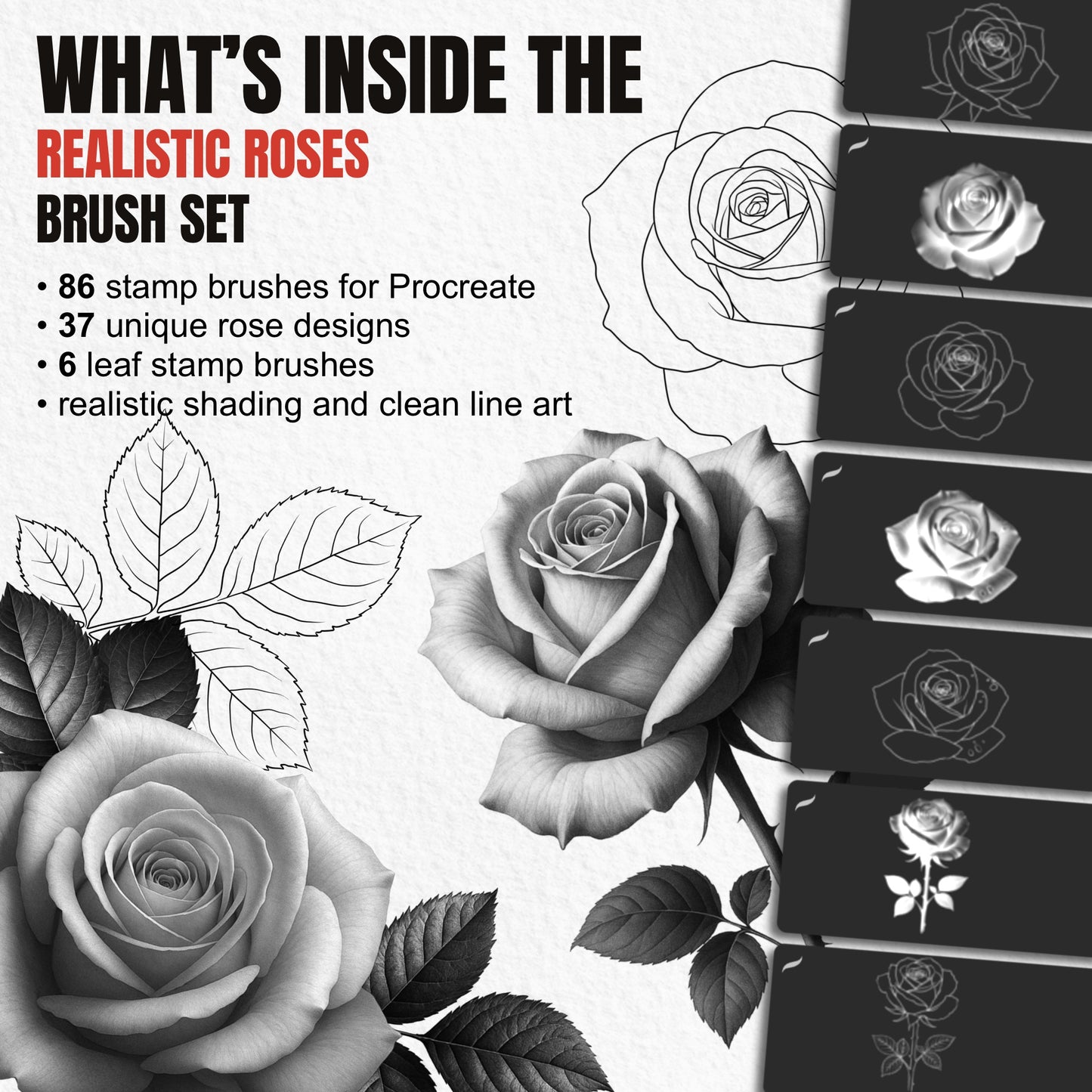 Overview of 86 Realistic Roses Procreate brushes with 37 rose designs and 6 leaf stamps