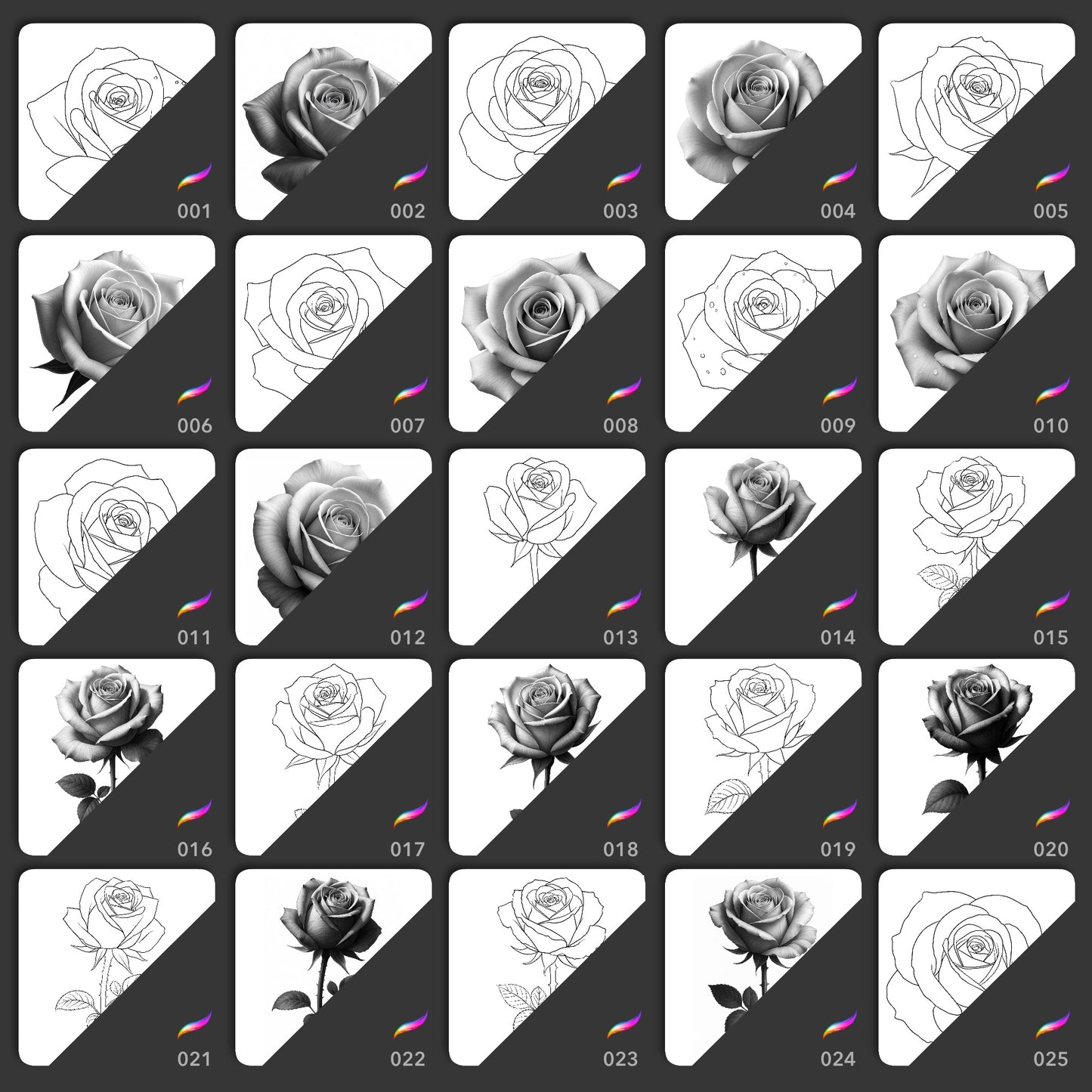 25 realistic and line art rose Procreate brushes with buds and stem designs