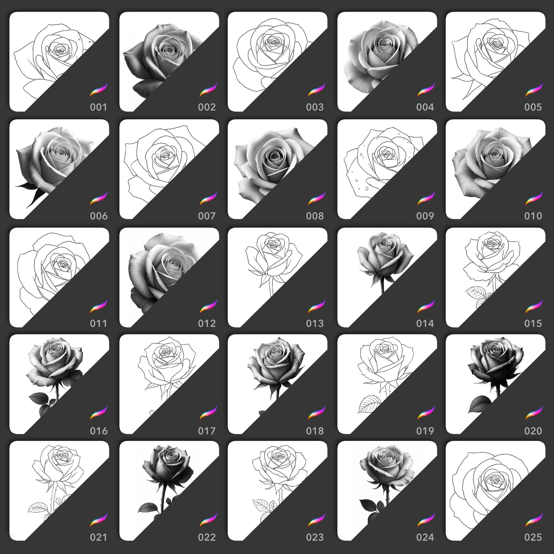 25 realistic and line art rose Procreate brushes with buds and stem designs