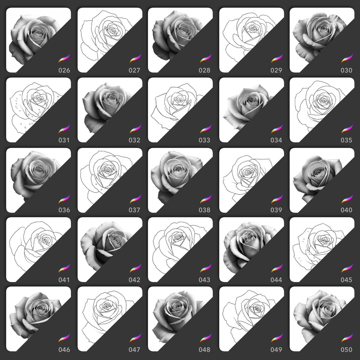 25 realistic and line art rose Procreate stamp brushes in varied bloom angles