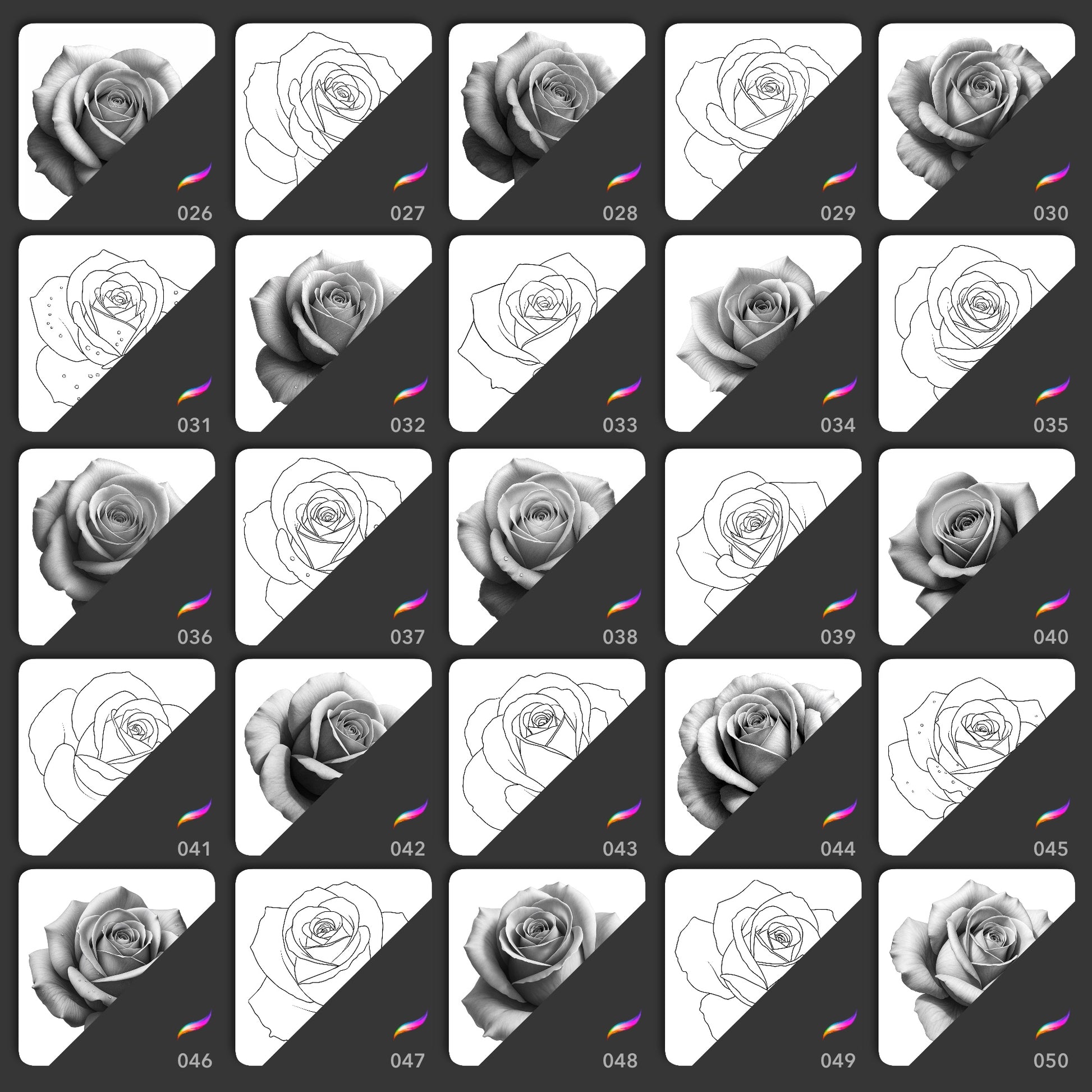 25 realistic and line art rose Procreate stamp brushes in varied bloom angles