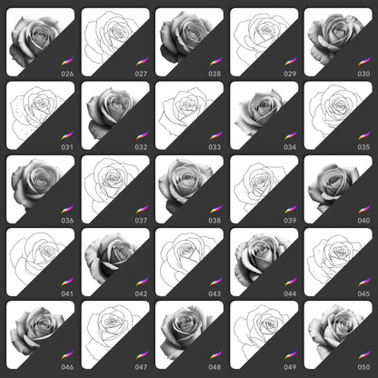 25 realistic and line art rose Procreate stamp brushes in varied bloom angles