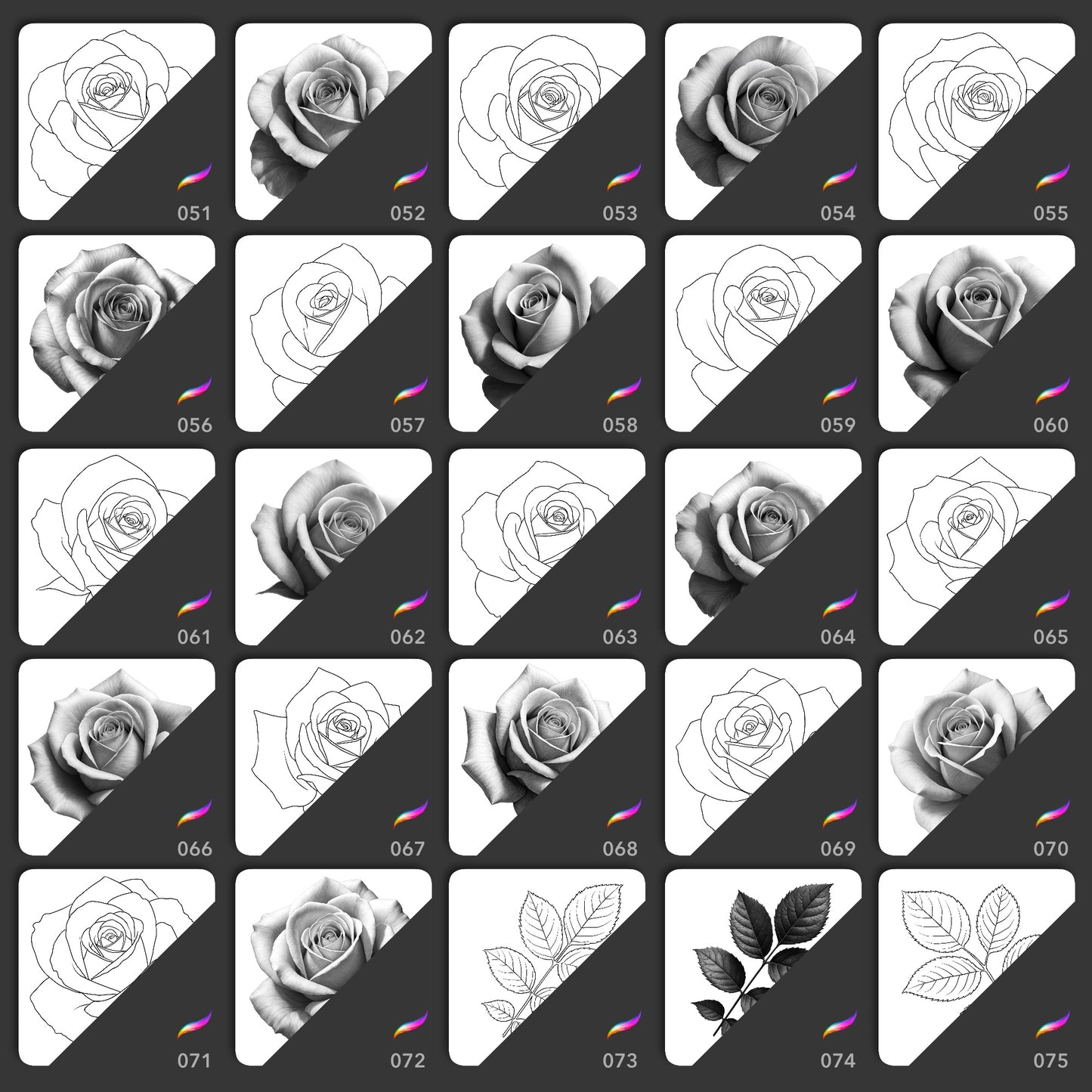Realistic rose and leaf Procreate stamp brushes for floral tattoo stencils