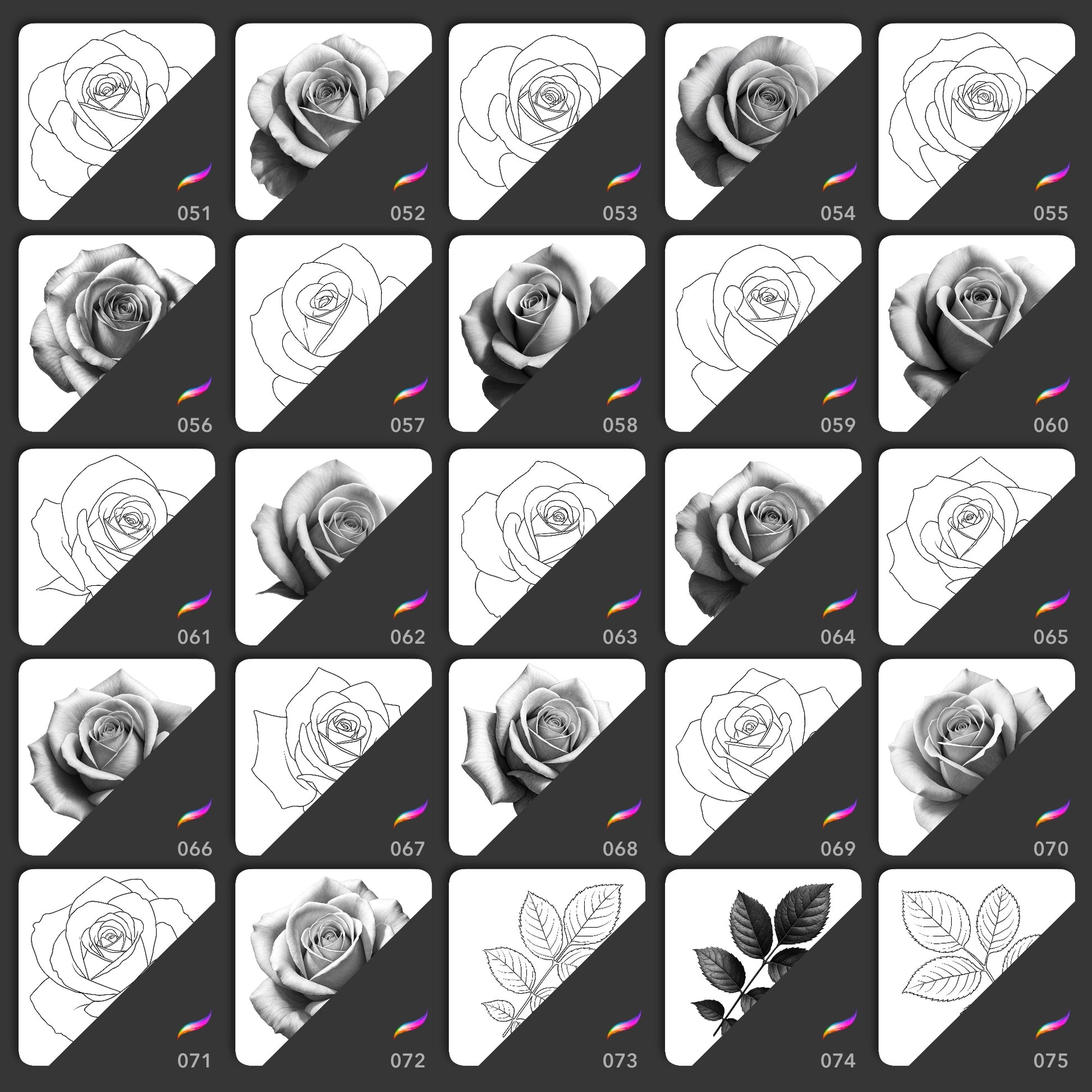 Realistic rose and leaf Procreate stamp brushes for floral tattoo stencils