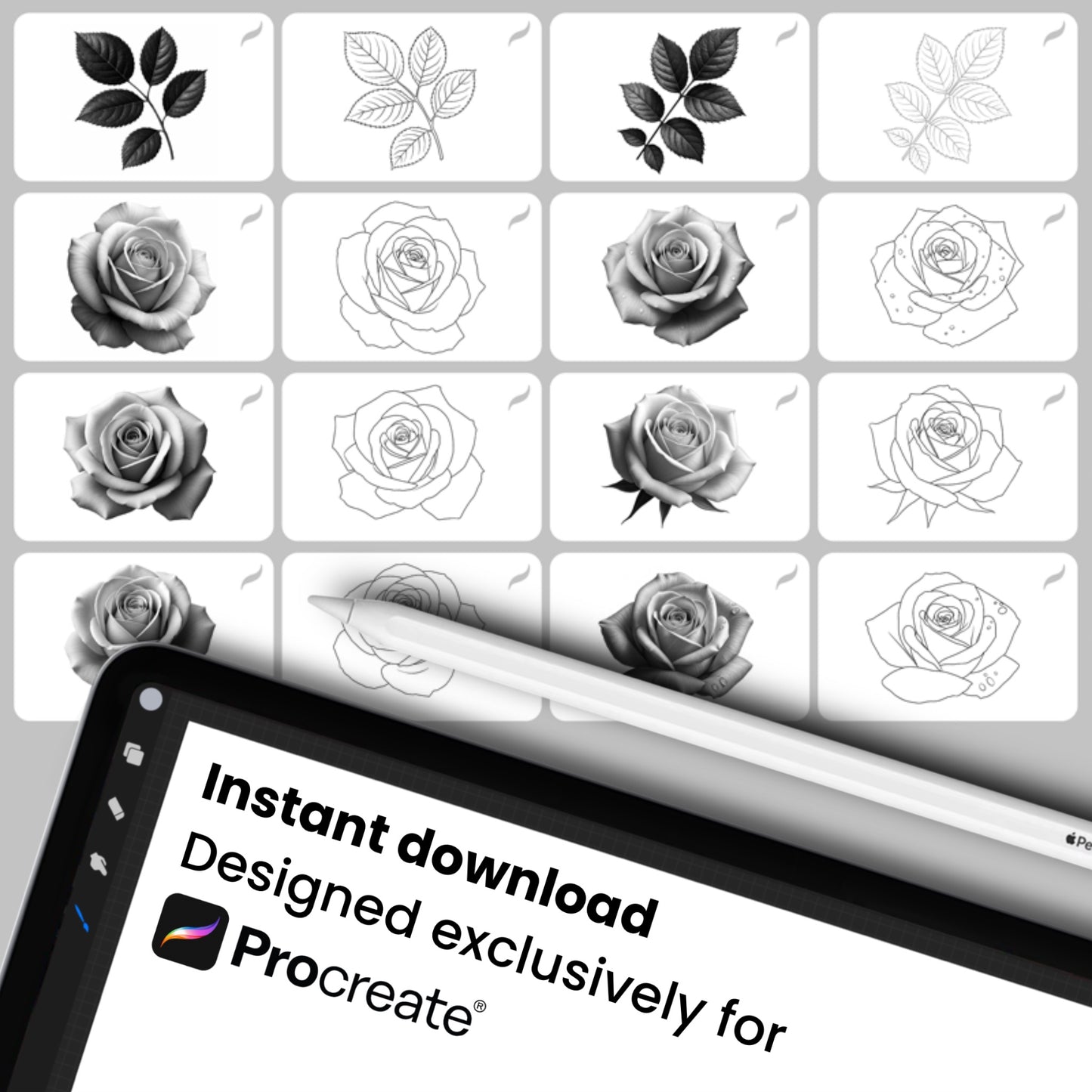 Realistic Roses • Procreate stamp brushes