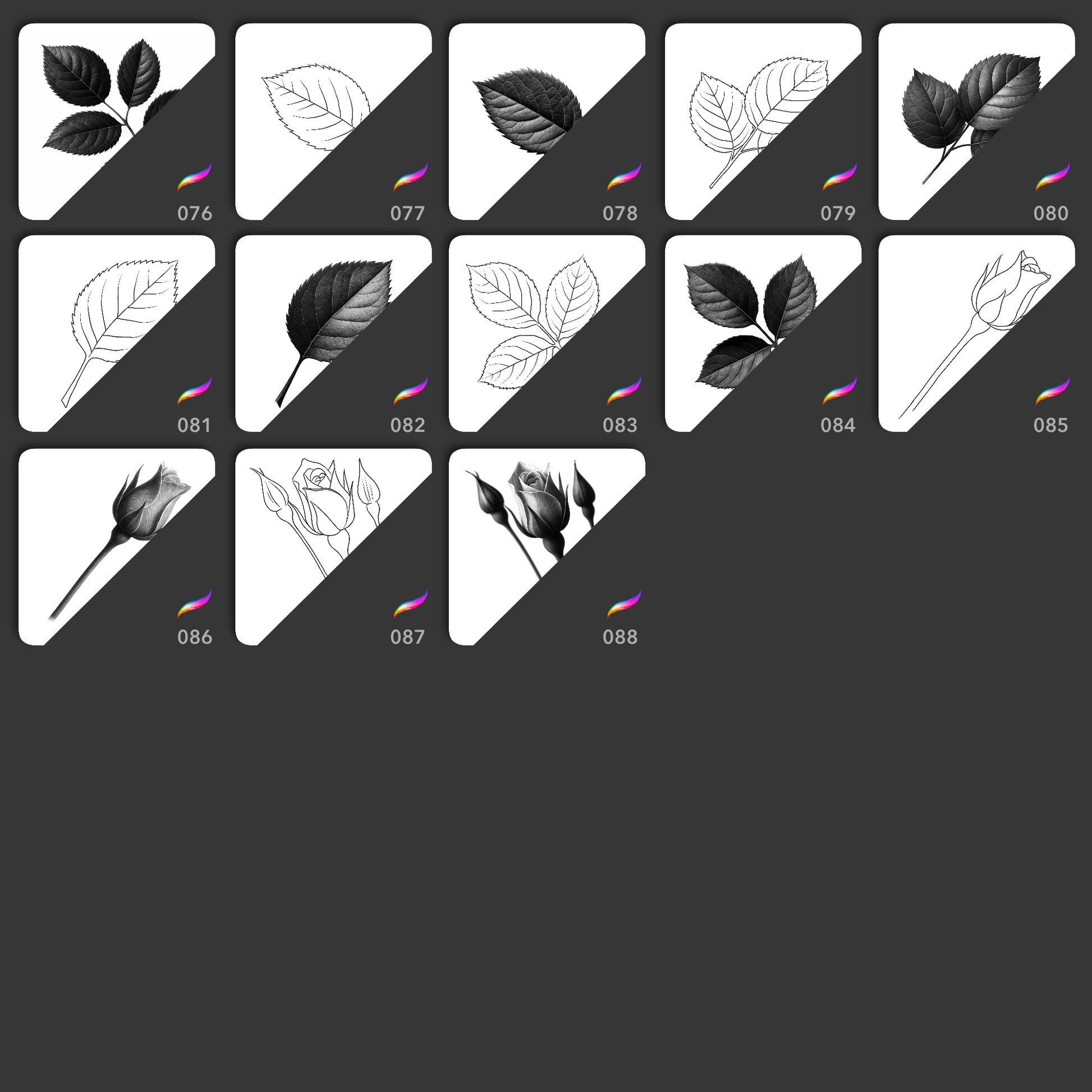 Realistic and line art rose leaf and bud Procreate stamp brushes