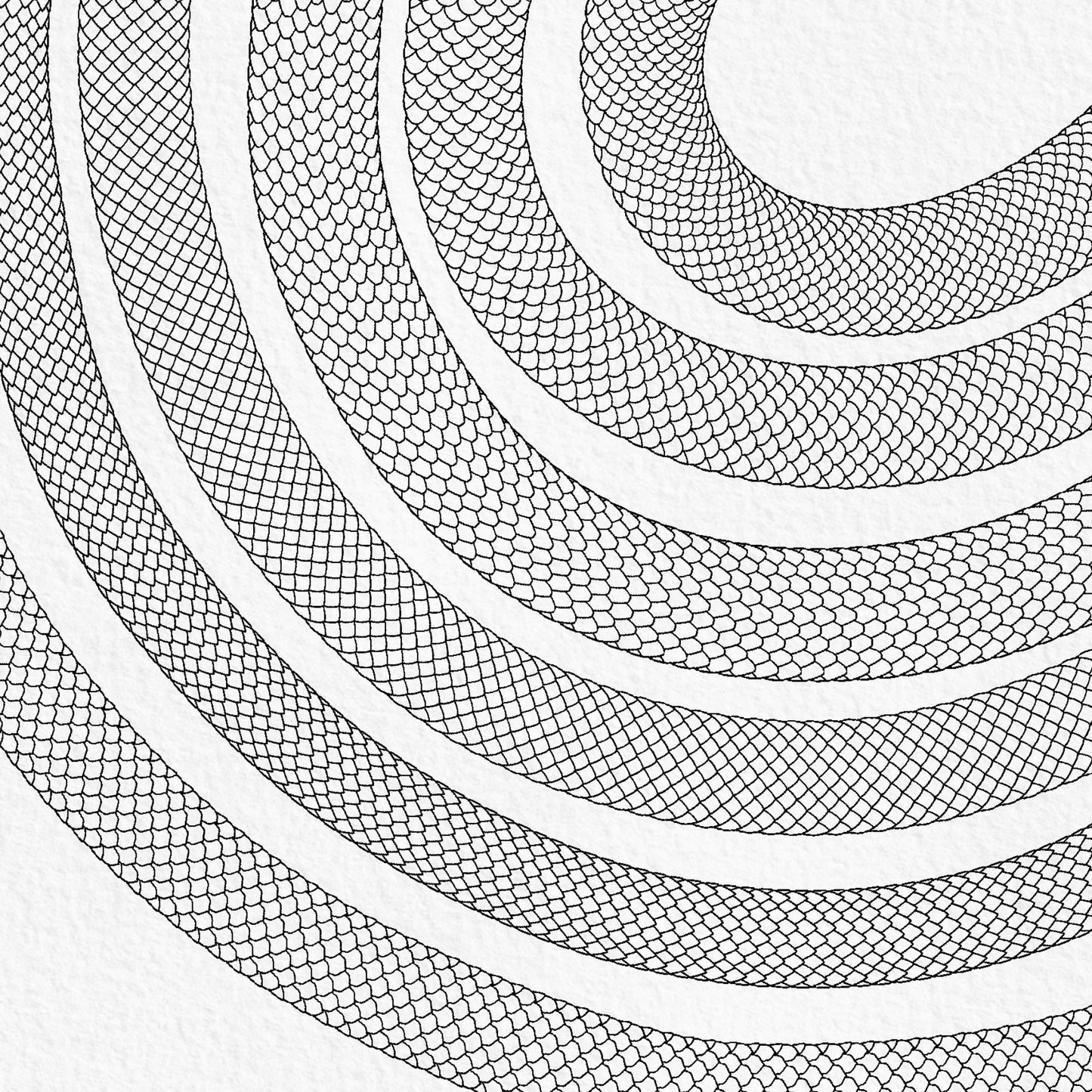 Fine line snake scale Procreate brushes with curved seamless body patterns