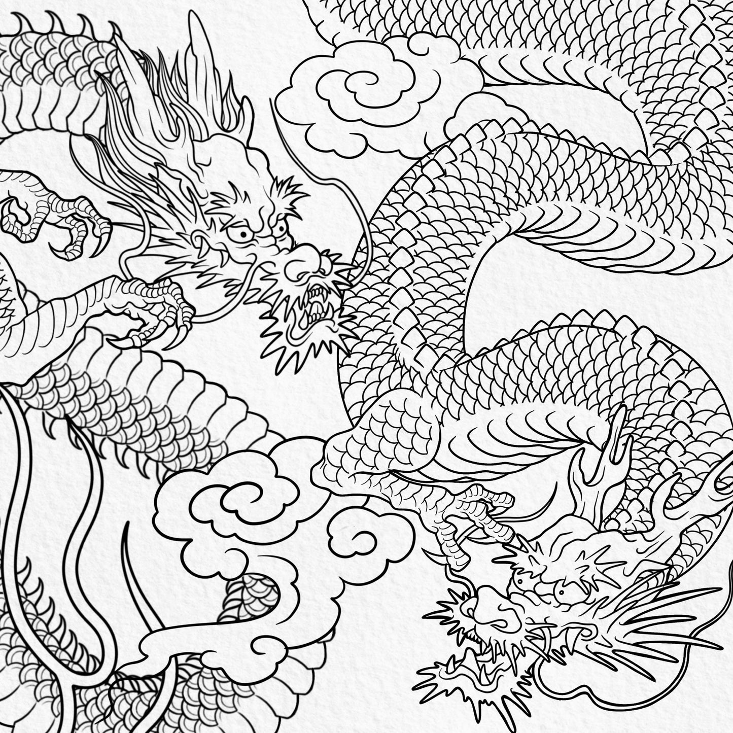 Detailed Japanese dragon tattoo designs with heads claws clouds and scaled bodies