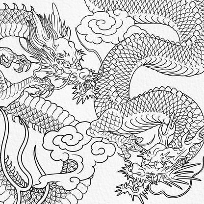 Detailed Japanese dragon tattoo designs with heads claws clouds and scaled bodies