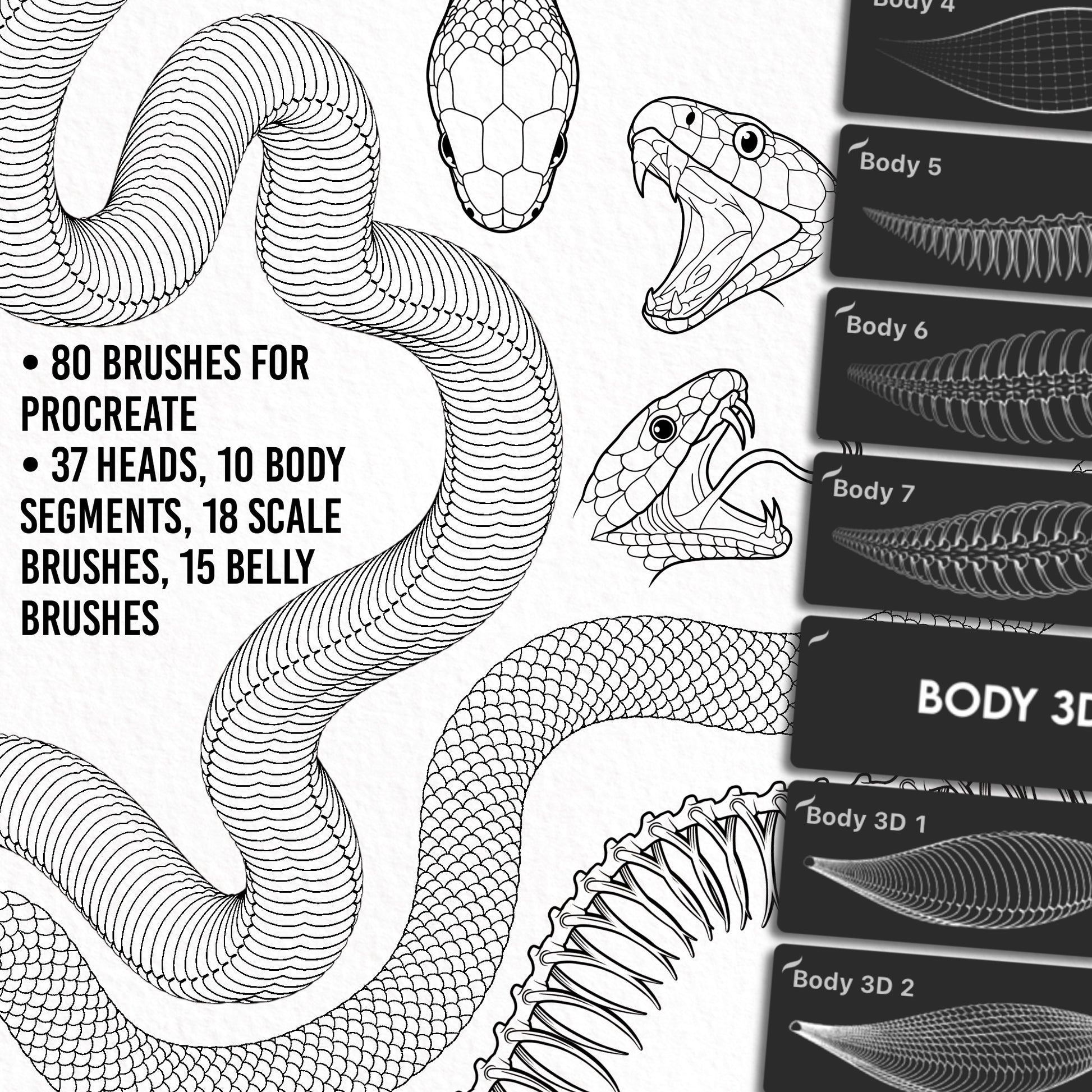 Complete snake drawing made with the Ultimate Snake Kit – showing detailed skeleton structure, scales, belly, and dynamic head design.
