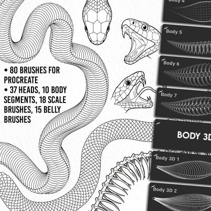 Complete snake drawing made with the Ultimate Snake Kit – showing detailed skeleton structure, scales, belly, and dynamic head design.