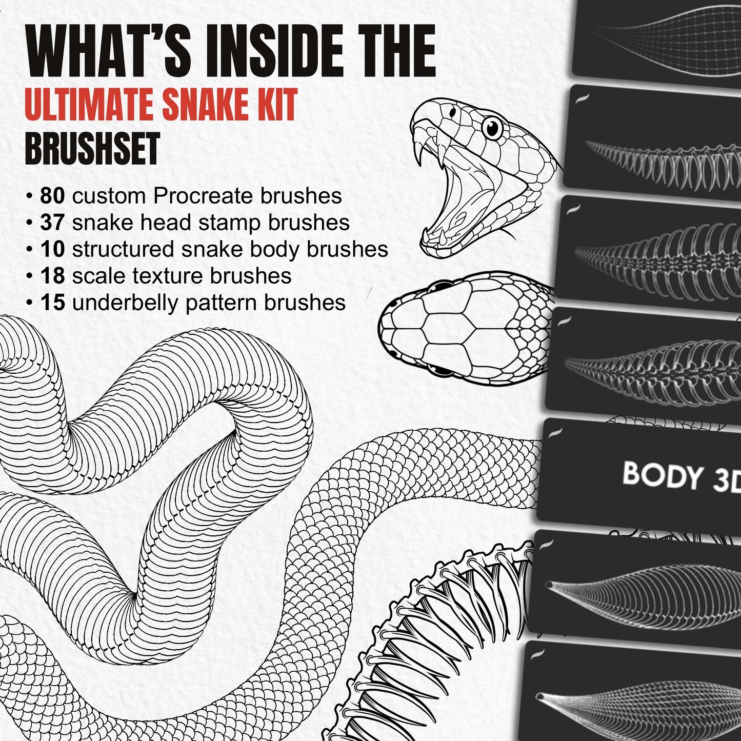 Overview of 80 Ultimate Snake Kit Procreate brushes with heads bodies scales and underbellies