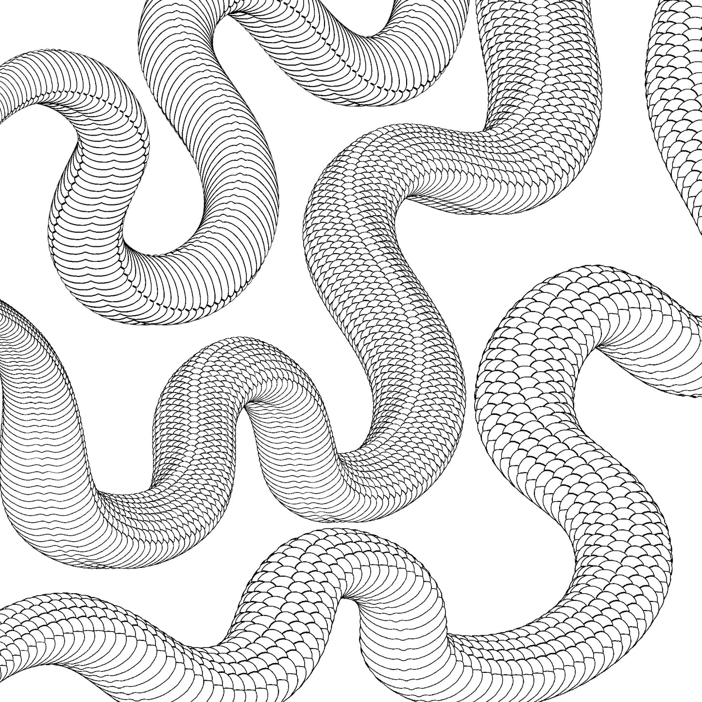Procreate brush preview showing seamless snake body brushes with detailed scale patterns, perfect for tattoo design and illustration.
