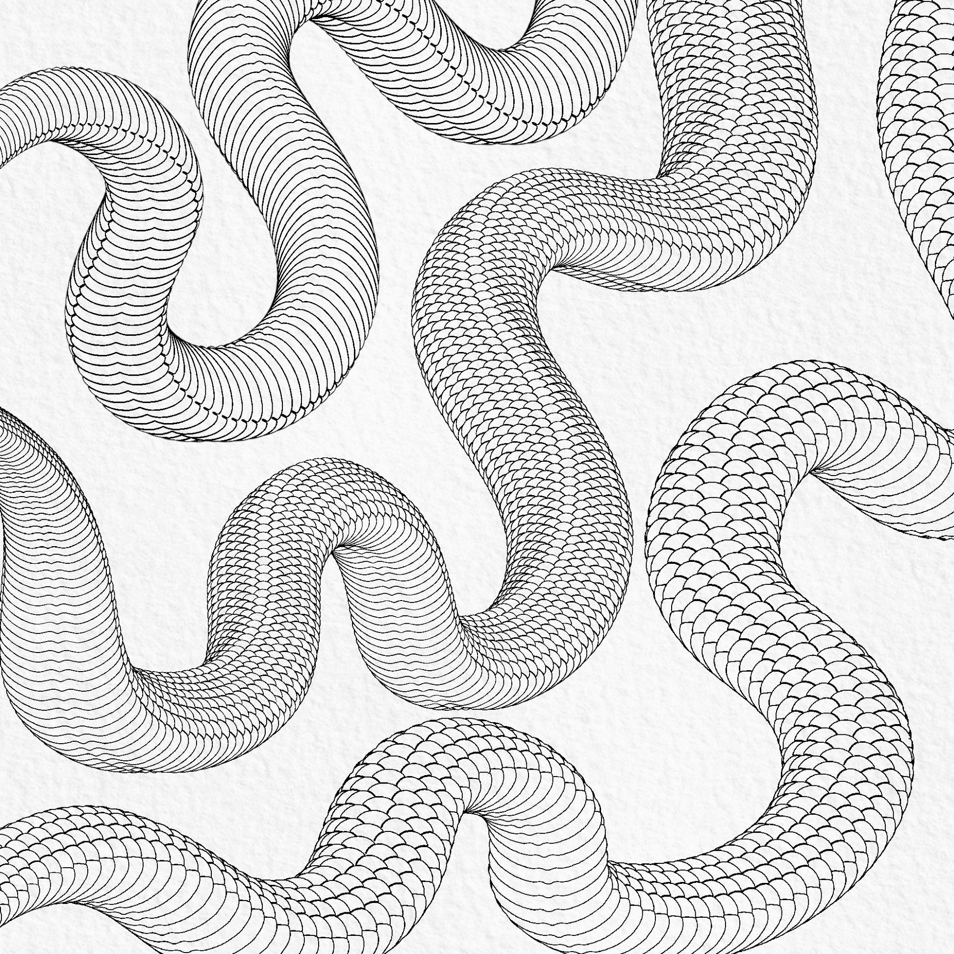 Curved snake body Procreate brushes with scales and underbelly patterns