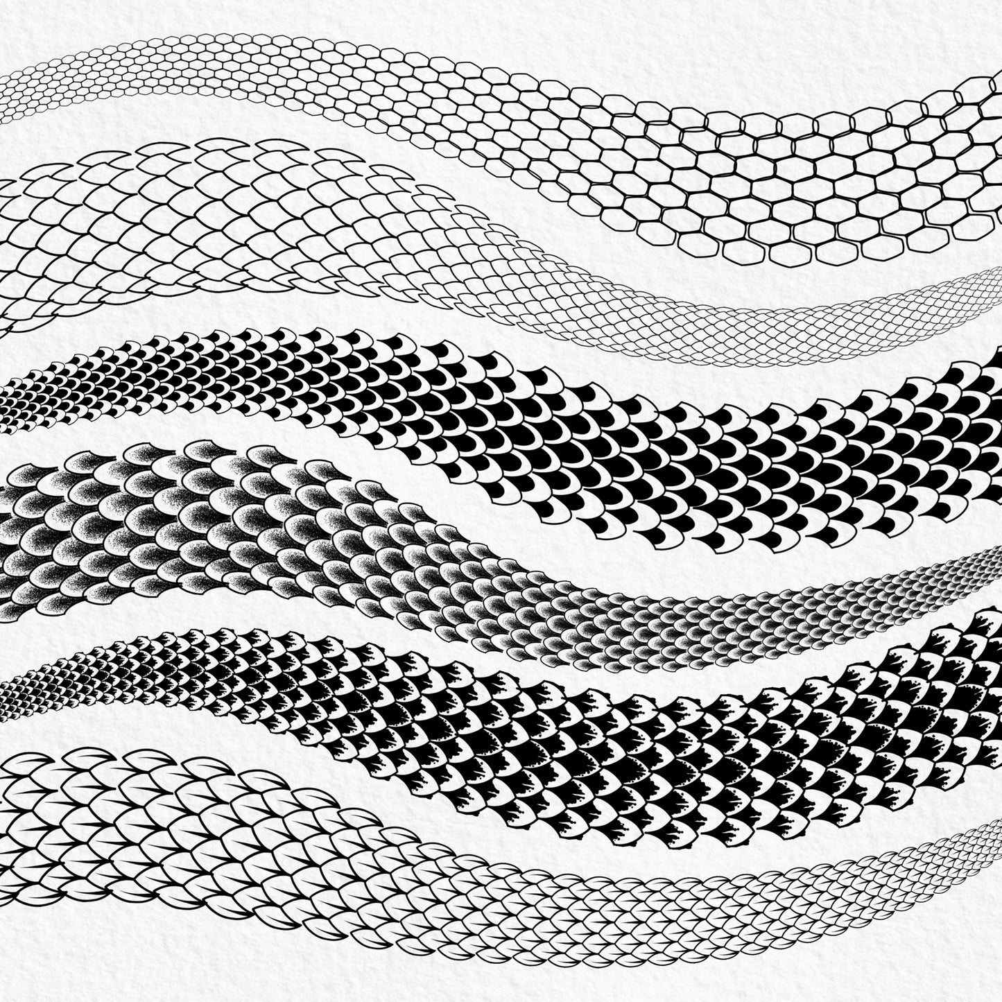 Realistic and line art snake scale Procreate brushes in multiple textures
