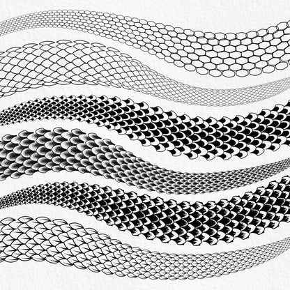 Realistic and line art snake scale Procreate brushes in multiple textures