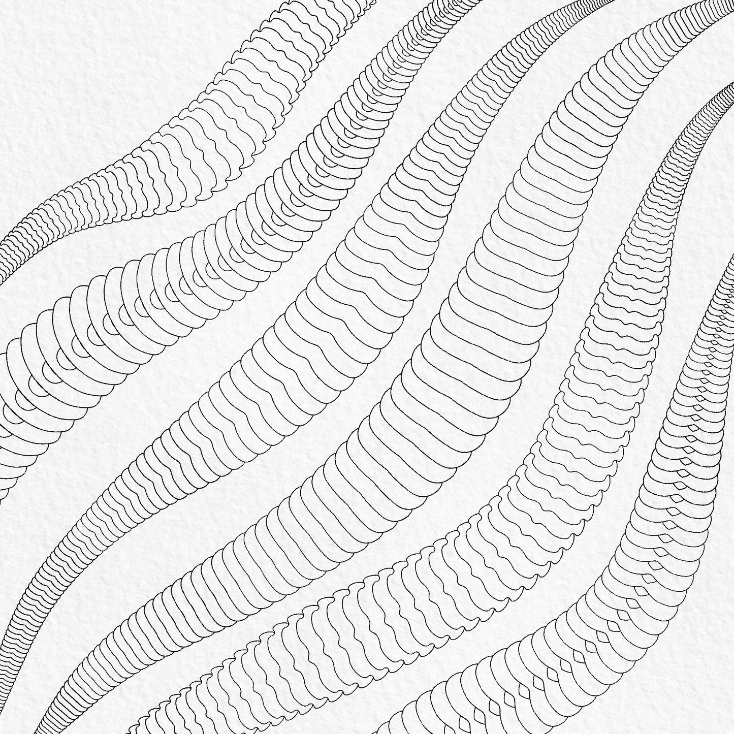 Snake underbelly Procreate pattern brushes in multiple widths and styles